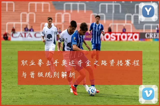 职业拳击手奥运夺金之路资格赛程与晋级规则解析