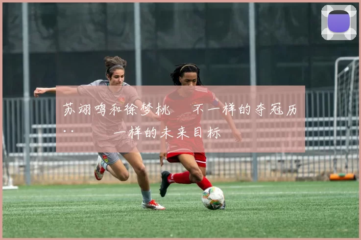 苏翊鸣和徐梦桃  不一样的夺冠历程  一样的未来目标