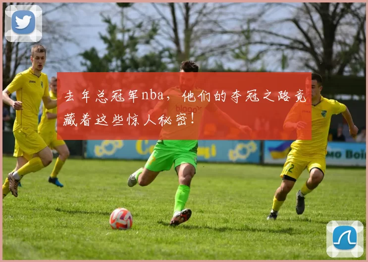 去年总冠军nba，他们的夺冠之路竟藏着这些惊人秘密！