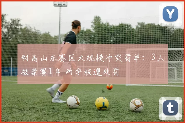 耐高山东赛区大规模冲突罚单：3人被禁赛1年 两学校遭处罚