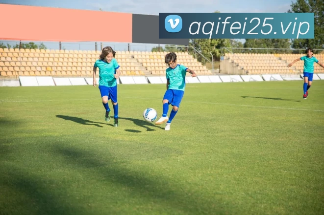 开云·kaiyun体育(中国大陆)官方网站 登录入口服务体系