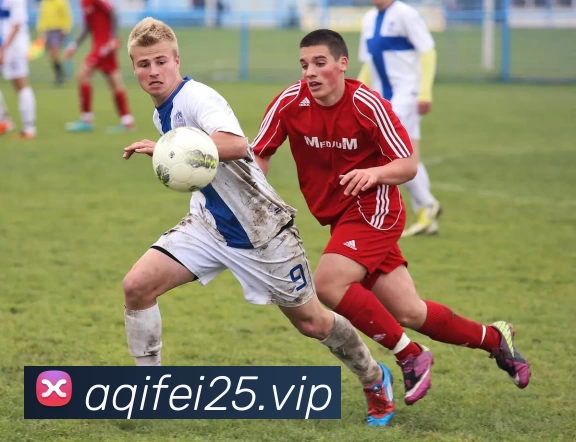 开云·kaiyun体育(中国大陆)官方网站 登录入口APP 封面图